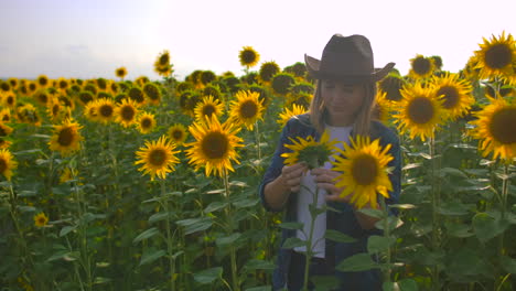 The-farmer-girl-is-watching-and-touching-the-sunflowers.-She-enjoys-the-great-weather-in-the-sunflower-field.-Beatifull-day-in-nature.